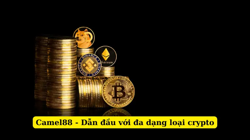 Camel88 - Dẫn đầu với đa dạng loại crypto