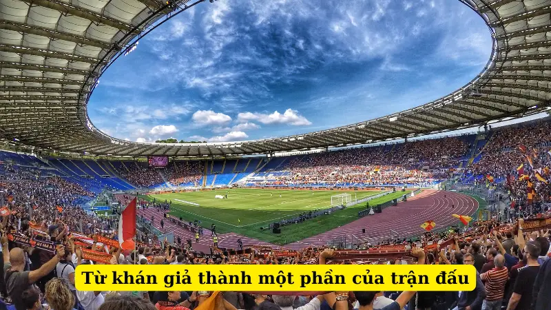 Từ khán giả thành một phần của trận đấu